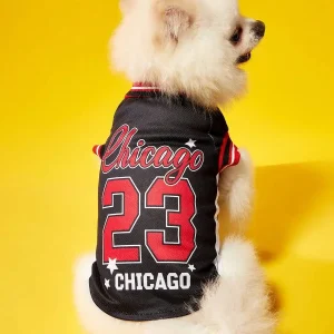 Team Style Pet Jersey with English Number Print