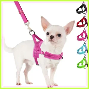 No Pull Small Dog Harness & Leash Set