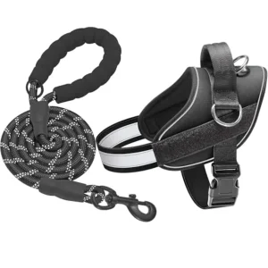 Essential Dog Harness, No Pull Pet Vest