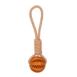 Dog toy Rubber ball teeth cleaning