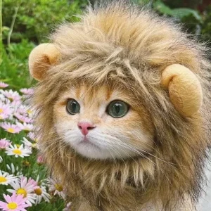 Funny Pets Clothes Cat Wig Lion Mane
